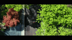 当典质人按合同商定还清全数